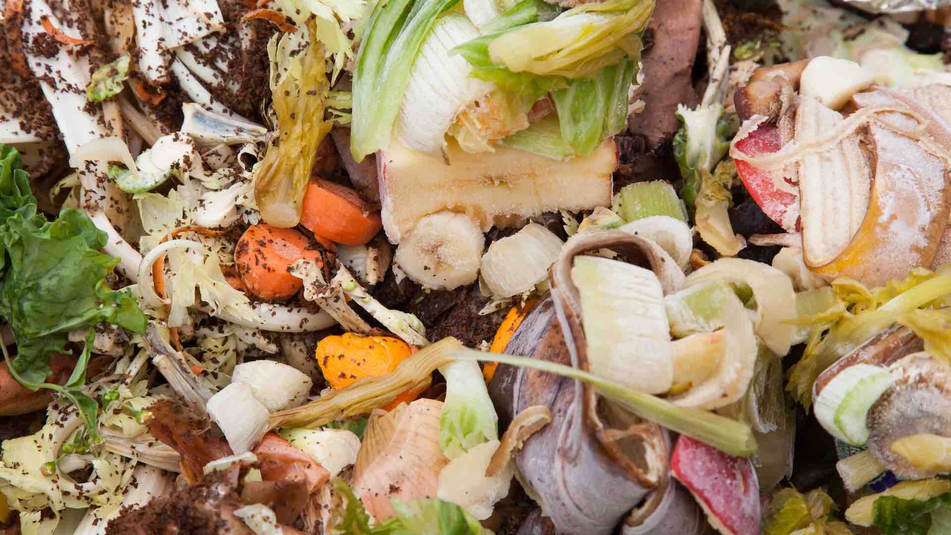 FAO highlights urgent need to address global food loss and waste